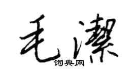 王正良毛洁行书个性签名怎么写