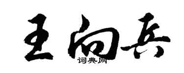 胡问遂王向兵行书个性签名怎么写