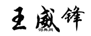 胡问遂王威锋行书个性签名怎么写