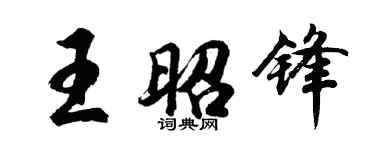 胡问遂王昭锋行书个性签名怎么写