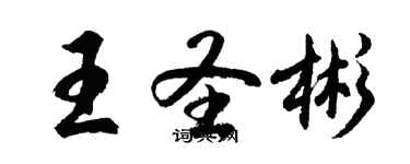 胡问遂王圣彬行书个性签名怎么写