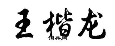 胡问遂王楷龙行书个性签名怎么写