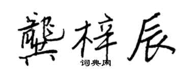 王正良龚梓辰行书个性签名怎么写