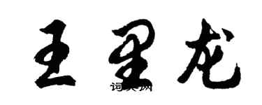 胡问遂王里龙行书个性签名怎么写