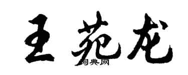 胡问遂王苑龙行书个性签名怎么写