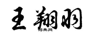 胡问遂王翔羽行书个性签名怎么写