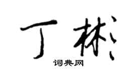 王正良丁彬行书个性签名怎么写