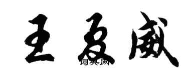 胡问遂王夏威行书个性签名怎么写