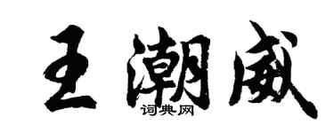 胡问遂王潮威行书个性签名怎么写