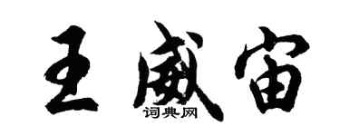 胡问遂王威宙行书个性签名怎么写