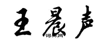 胡问遂王晨声行书个性签名怎么写