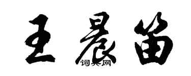 胡问遂王晨笛行书个性签名怎么写