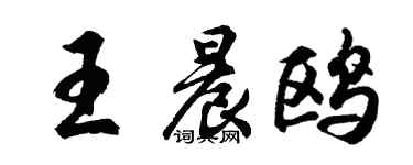 胡问遂王晨鸥行书个性签名怎么写
