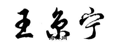 胡问遂王京宁行书个性签名怎么写
