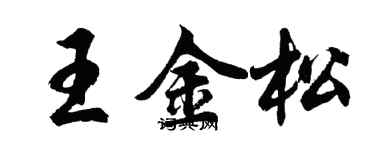 胡问遂王金松行书个性签名怎么写