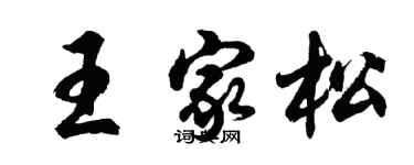 胡问遂王家松行书个性签名怎么写