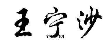 胡问遂王宁沙行书个性签名怎么写