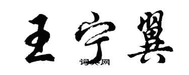 胡问遂王宁翼行书个性签名怎么写