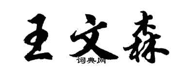 胡问遂王文森行书个性签名怎么写