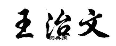 胡问遂王治文行书个性签名怎么写