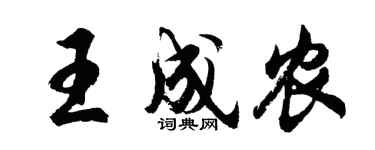 胡问遂王成农行书个性签名怎么写