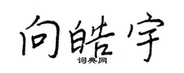 王正良向皓宇行书个性签名怎么写