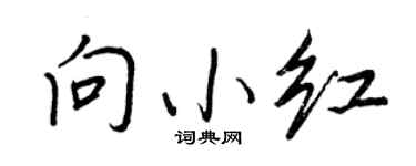 王正良向小红行书个性签名怎么写