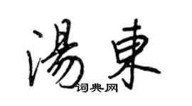 王正良汤东行书个性签名怎么写