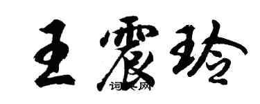 胡问遂王震玲行书个性签名怎么写