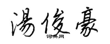 王正良汤俊豪行书个性签名怎么写