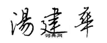 王正良汤建华行书个性签名怎么写