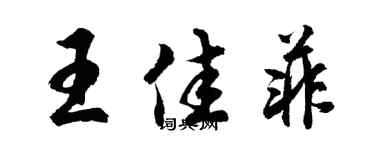 胡问遂王佳菲行书个性签名怎么写