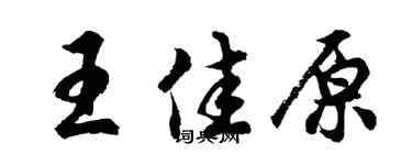 胡问遂王佳原行书个性签名怎么写