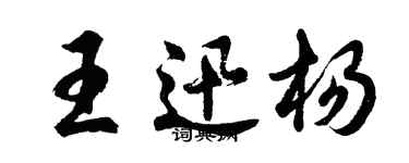 胡问遂王迅杨行书个性签名怎么写