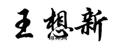 胡问遂王想新行书个性签名怎么写