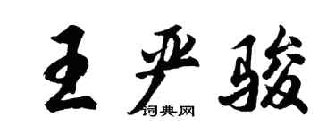 胡问遂王严骏行书个性签名怎么写