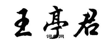 胡问遂王亭君行书个性签名怎么写