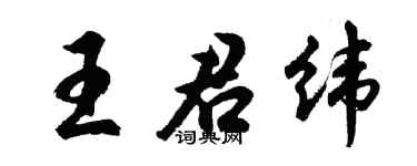 胡问遂王君纬行书个性签名怎么写