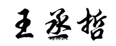 胡问遂王丞哲行书个性签名怎么写