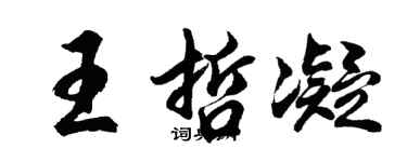 胡问遂王哲凝行书个性签名怎么写