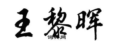 胡问遂王黎晖行书个性签名怎么写
