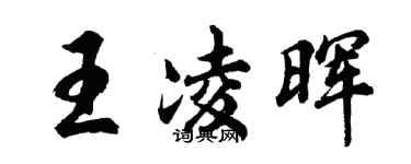 胡问遂王凌晖行书个性签名怎么写