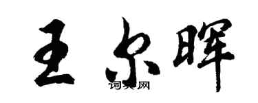 胡问遂王尔晖行书个性签名怎么写