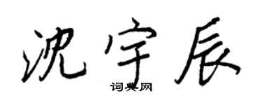 王正良沈宇辰行书个性签名怎么写
