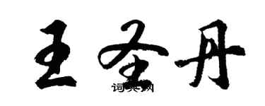 胡问遂王圣丹行书个性签名怎么写