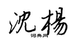 王正良沈杨行书个性签名怎么写