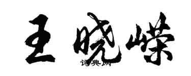 胡问遂王晓嵘行书个性签名怎么写