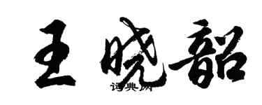 胡问遂王晓韶行书个性签名怎么写