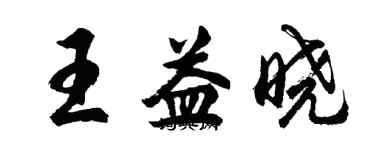 胡问遂王益晓行书个性签名怎么写