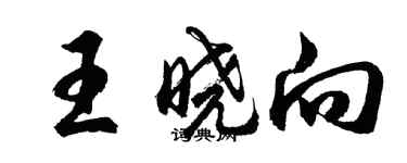 胡问遂王晓向行书个性签名怎么写